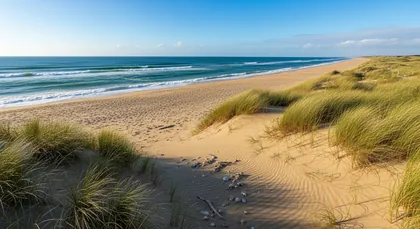Bordeaux chauffeur to Camping du Port de Limeuil — Campsites