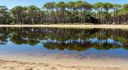Bordeaux chauffeur to Camping Homair - Les Vignes — Campsites