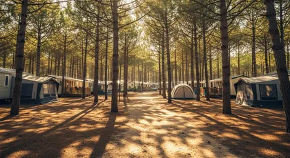Bordeaux chauffeur to Camping Homair - Château de Fonrives — Campsites