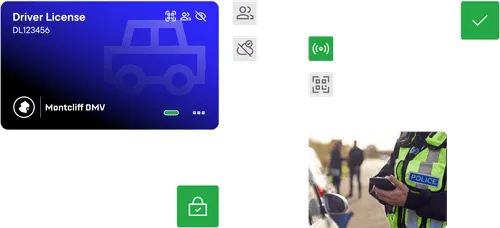 Driver License with a compilation of assets related to the transportation sector