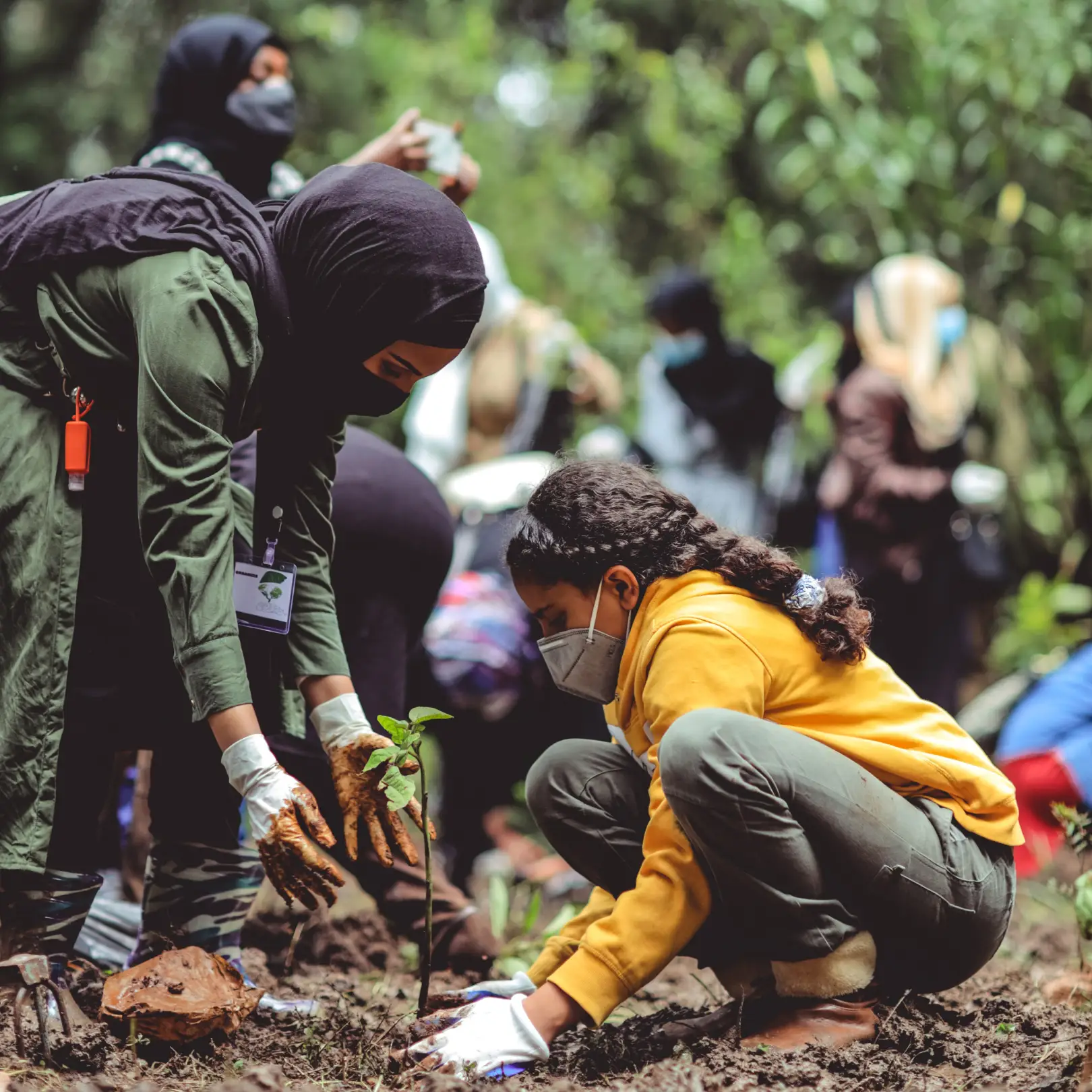 photo of a girl planting.