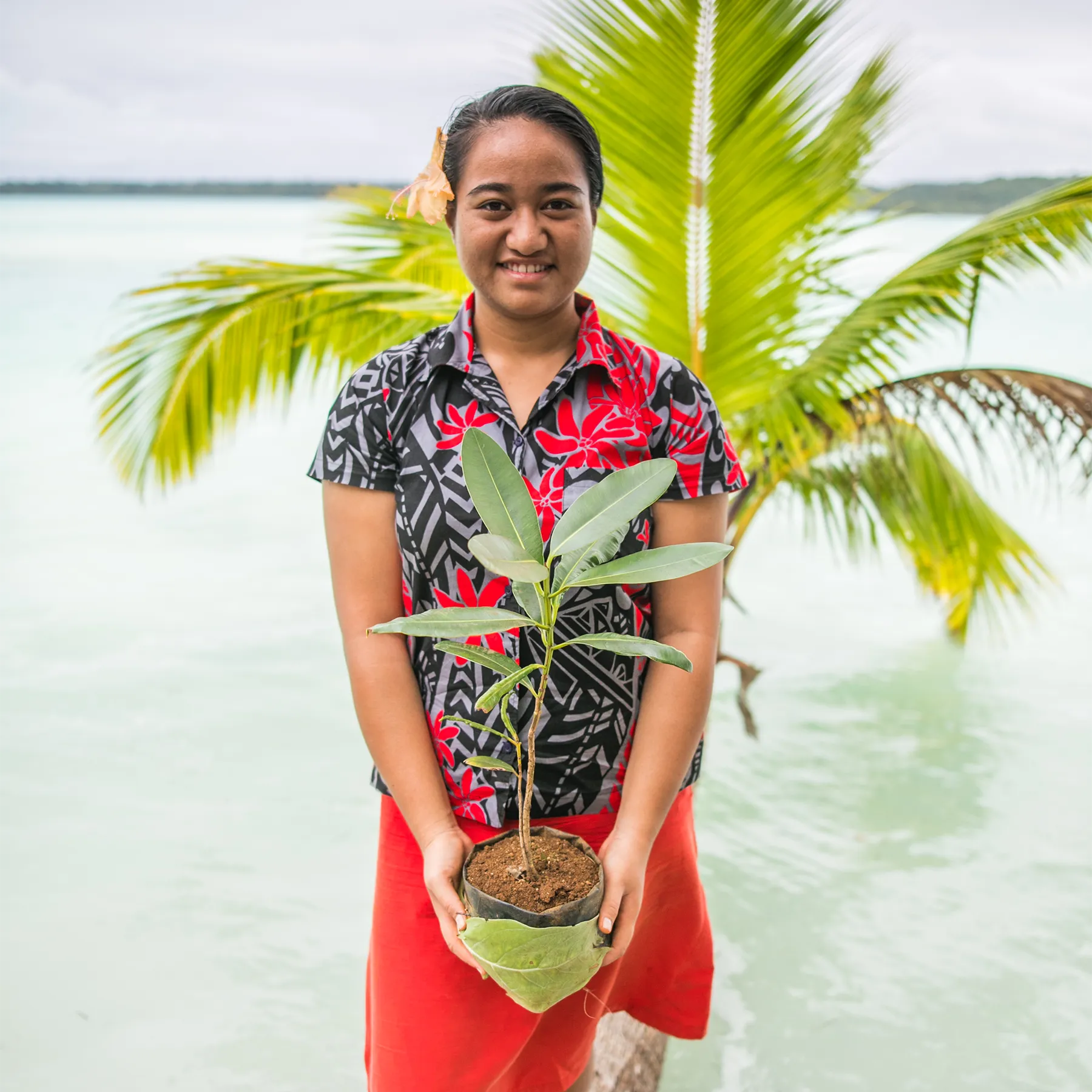 Photo of woman holding a plant