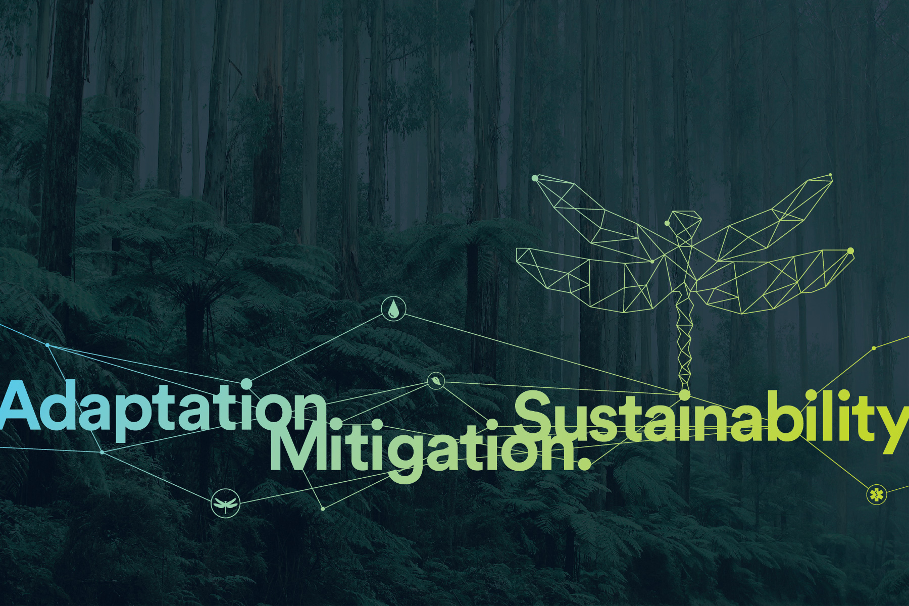 Graphic of a forest with the words Adaptation, Mitigation, and Sustainability.