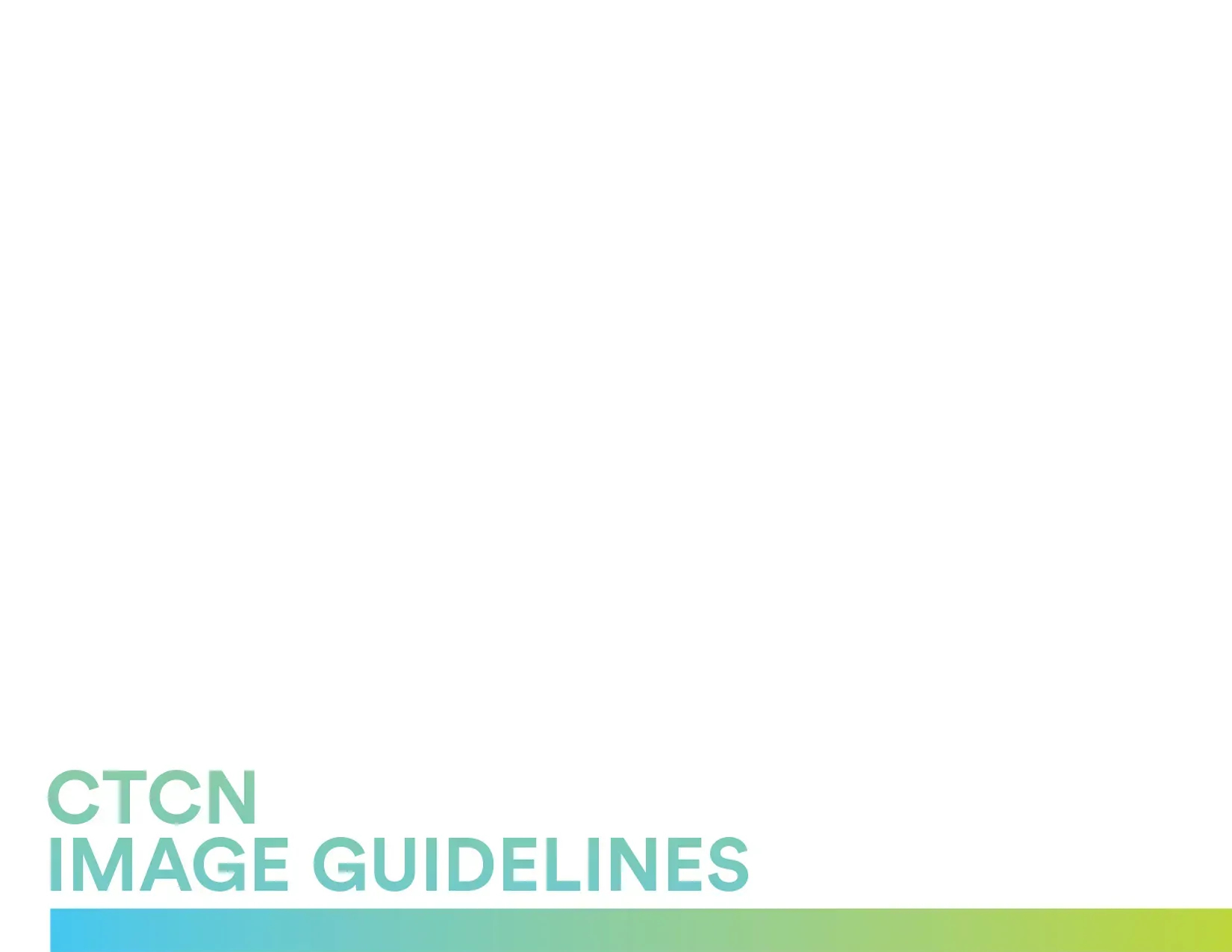 Screenshot of image guidelines.