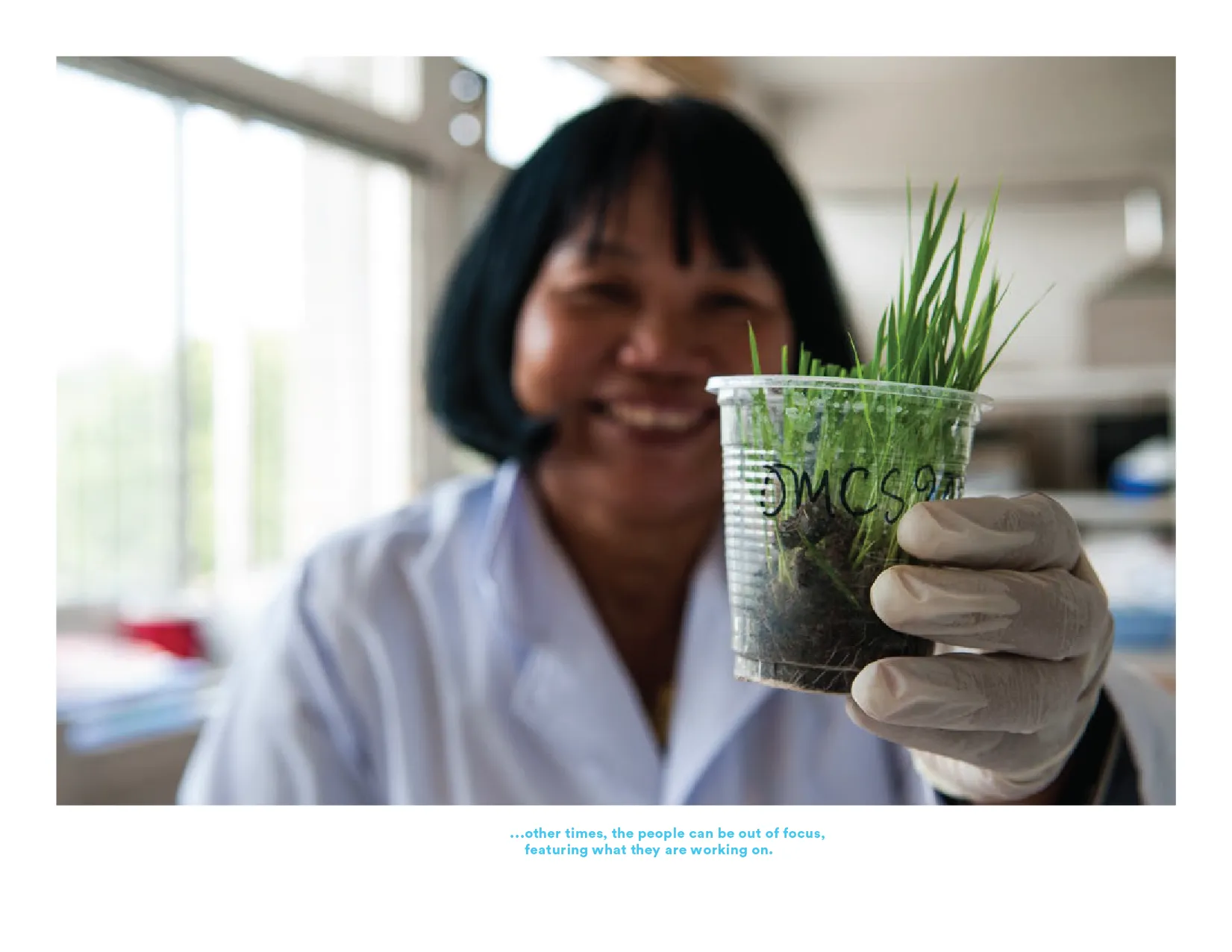 Photo of a scientist holding a text sample crop.