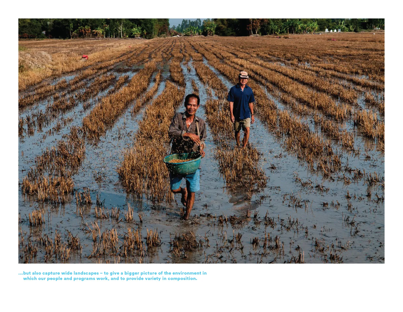 Photo of farmers in a field.