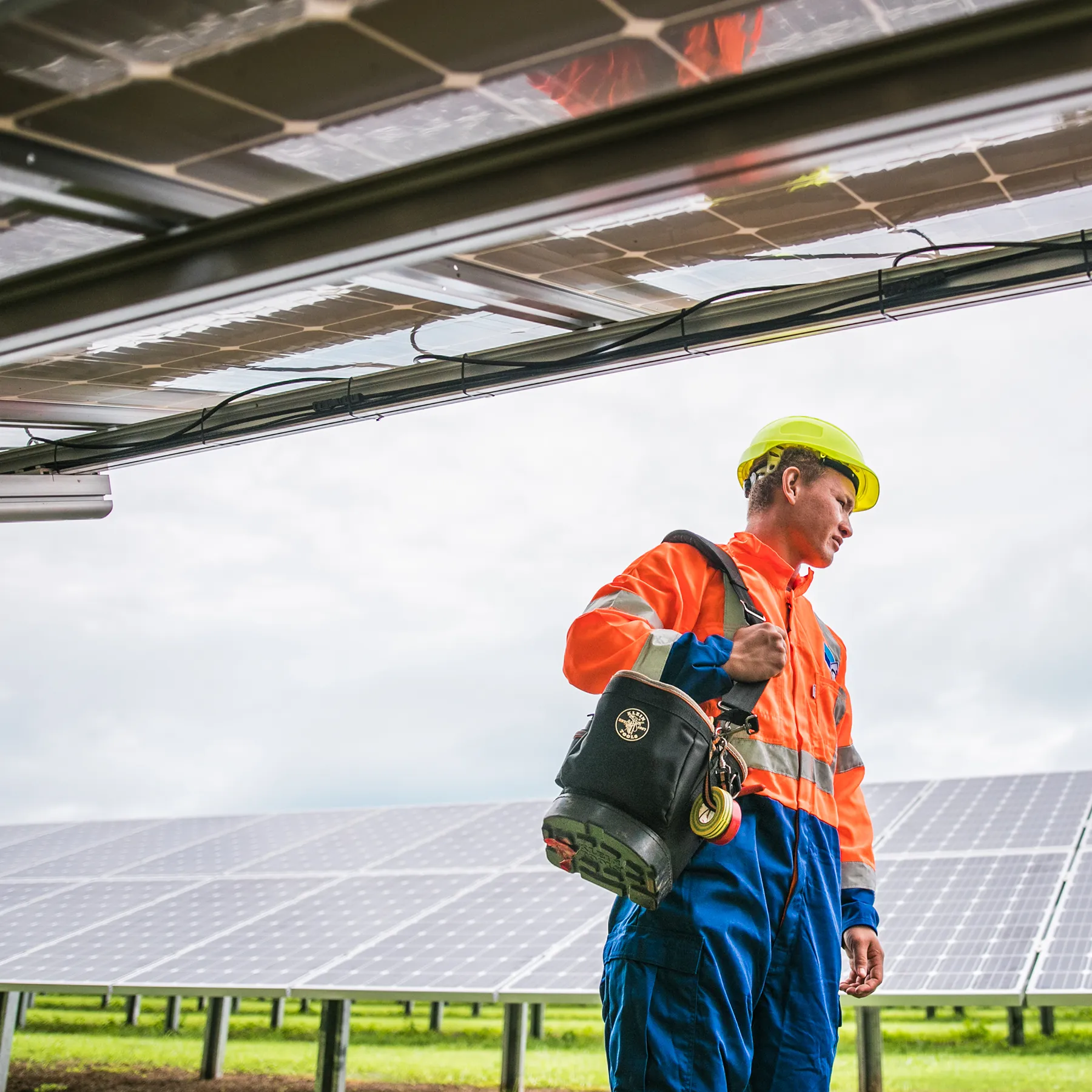 Photo of a solar farm technician