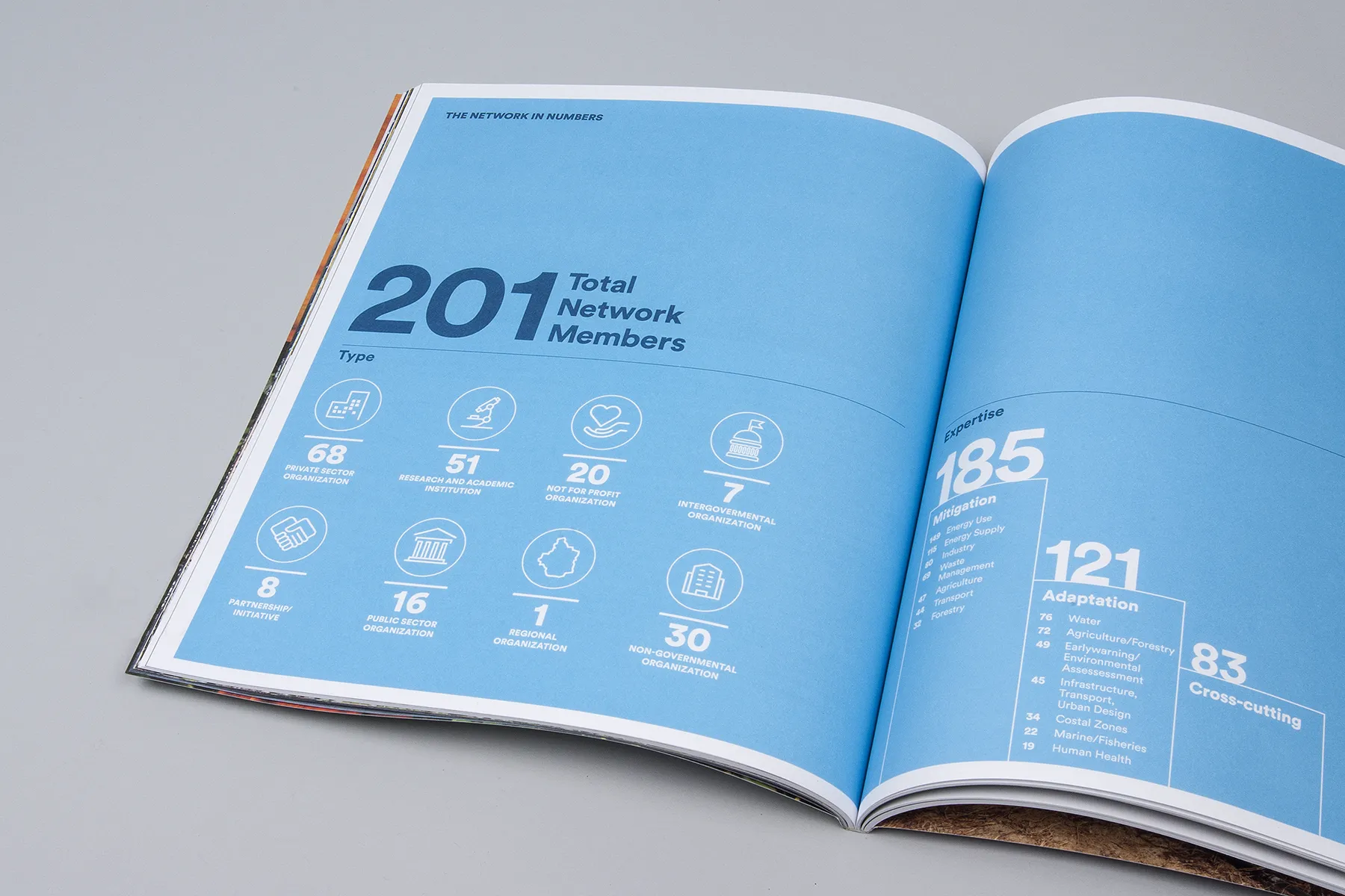 Photo of an annual impact report.
