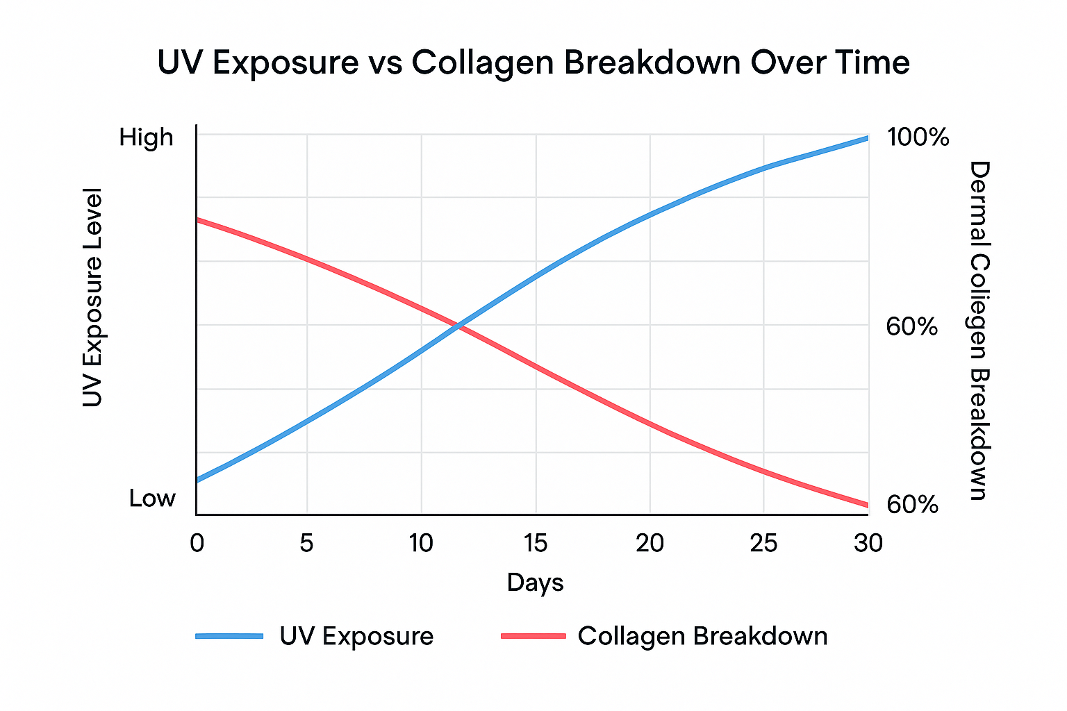 Line graph showing correlation between UV levels and loss of dermal collagen over 30 days.