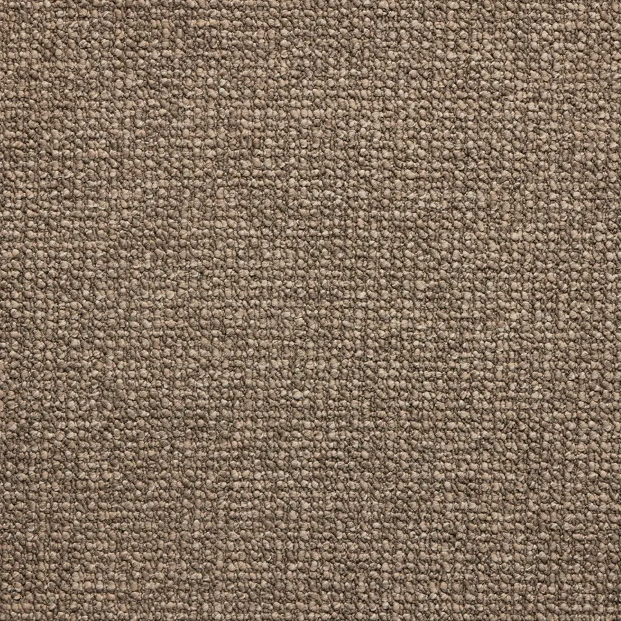 Longevity Grandeur - Shearling