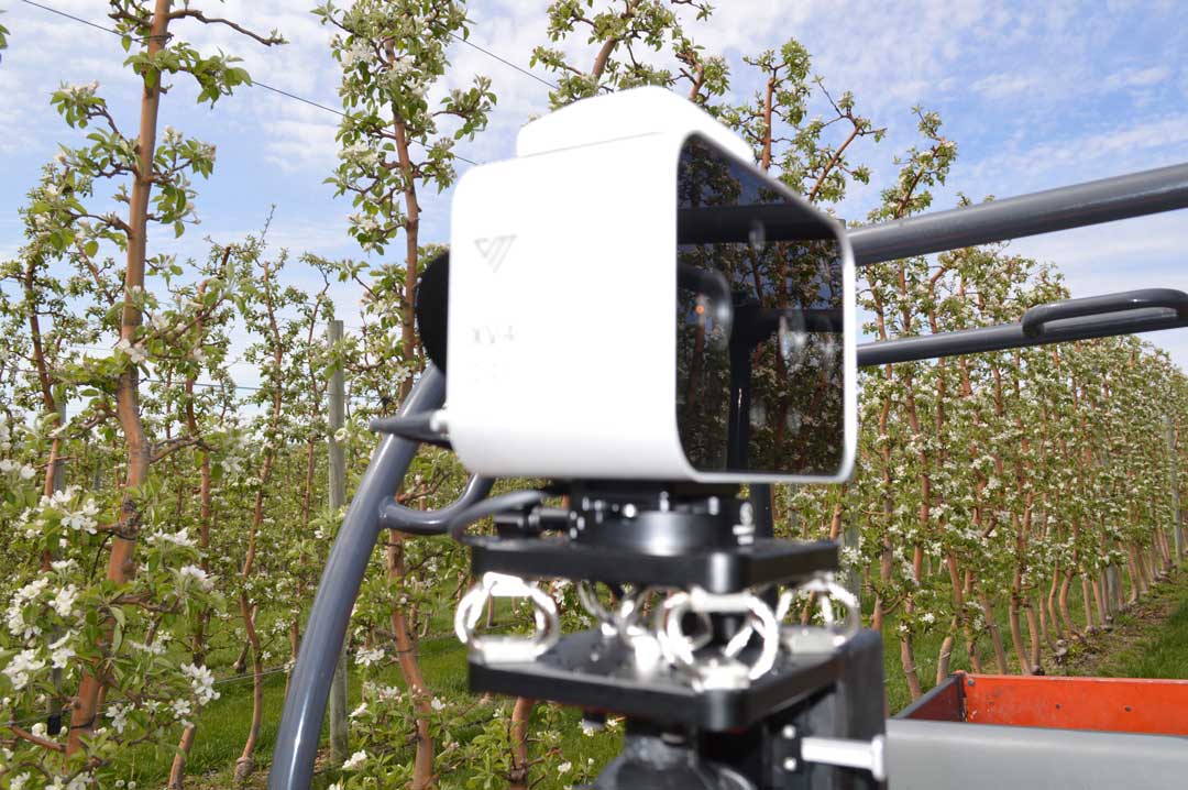 19 camera