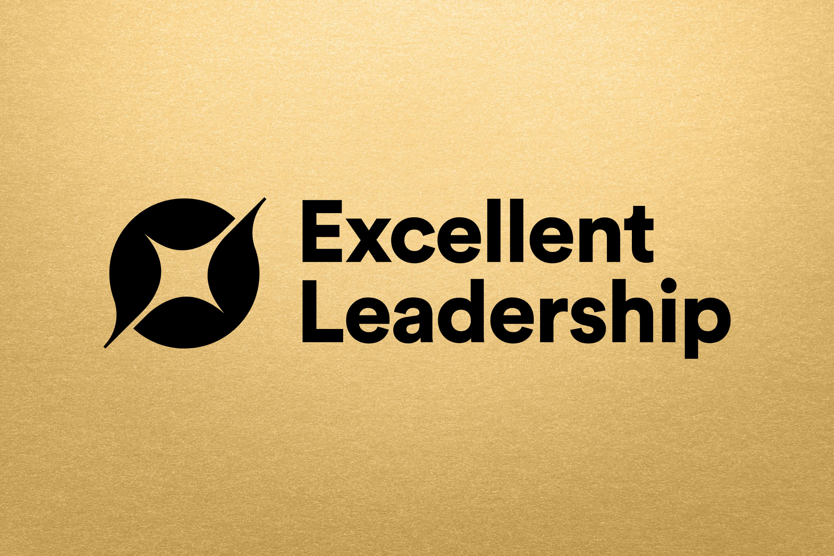 Excellent Leadership