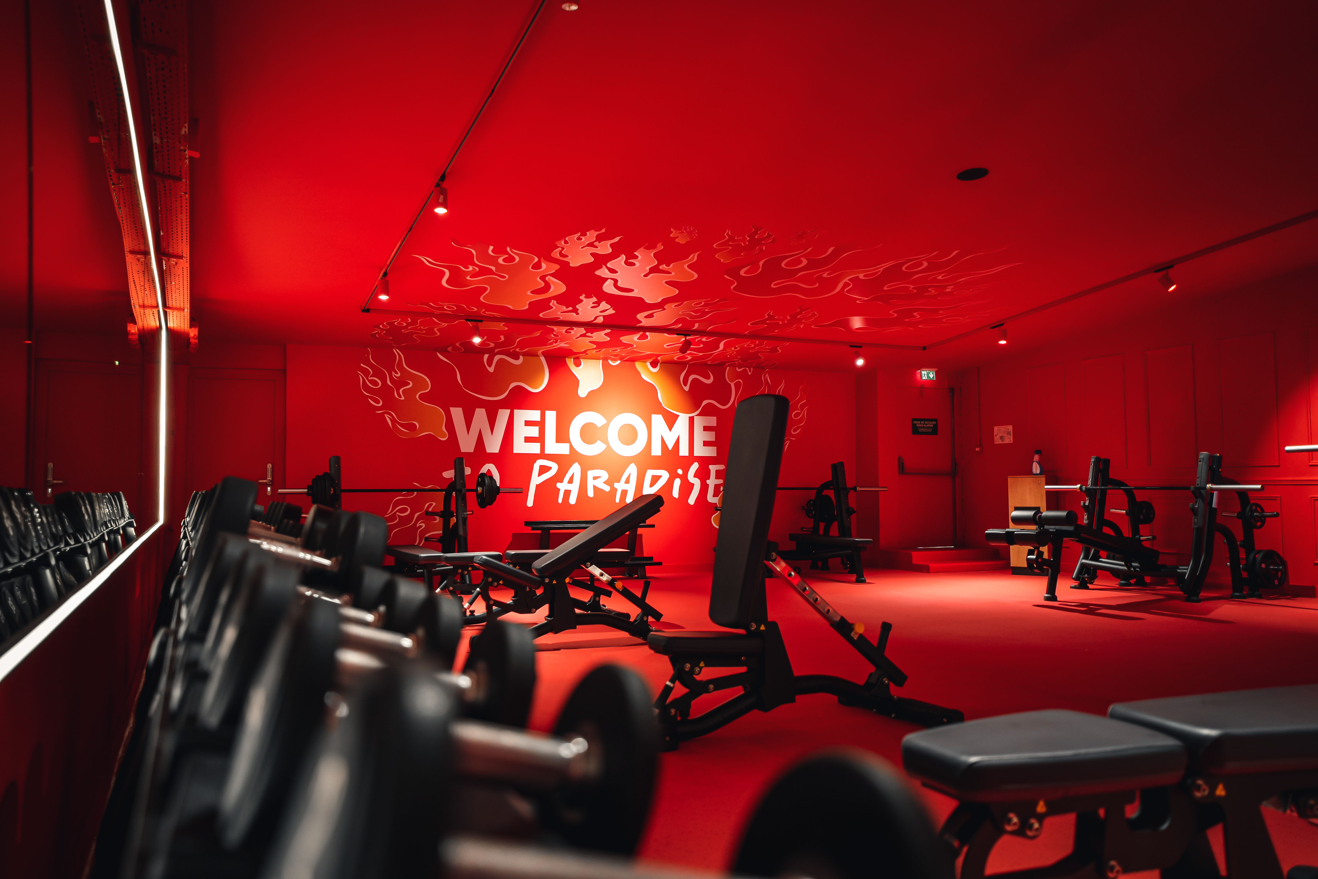 NEONESS BOULOGNE - Welcome to paradise