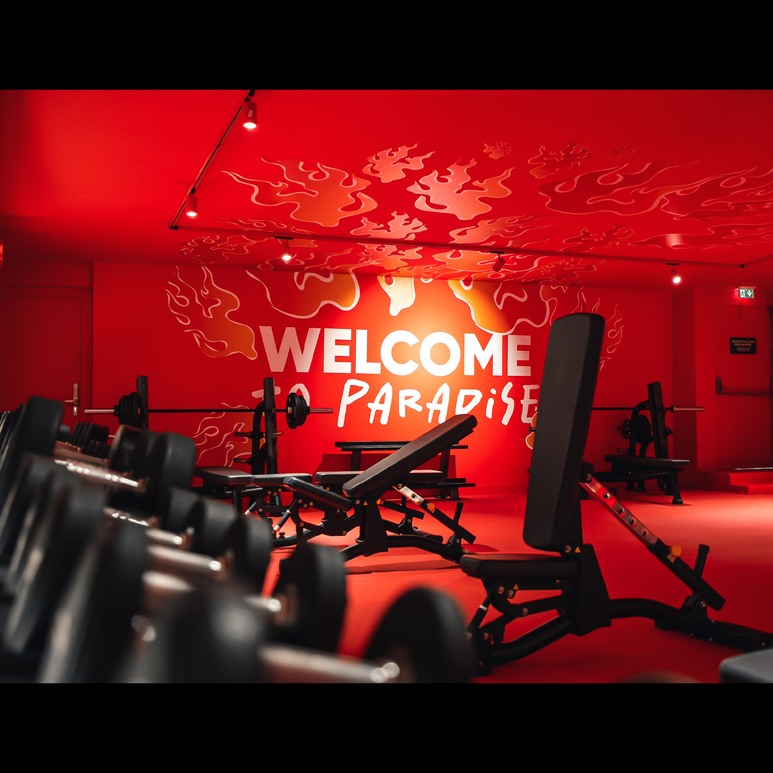 NEONESS BOULOGNE - Welcome to paradise