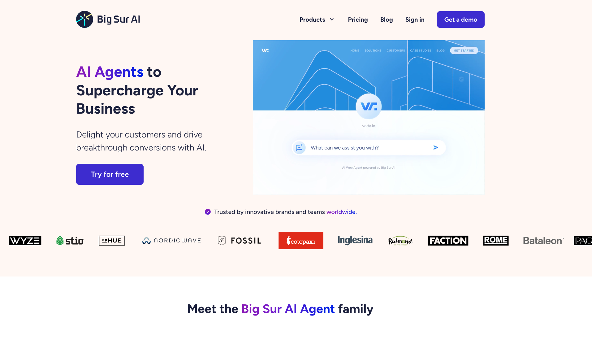 Big Sur AI Homepage