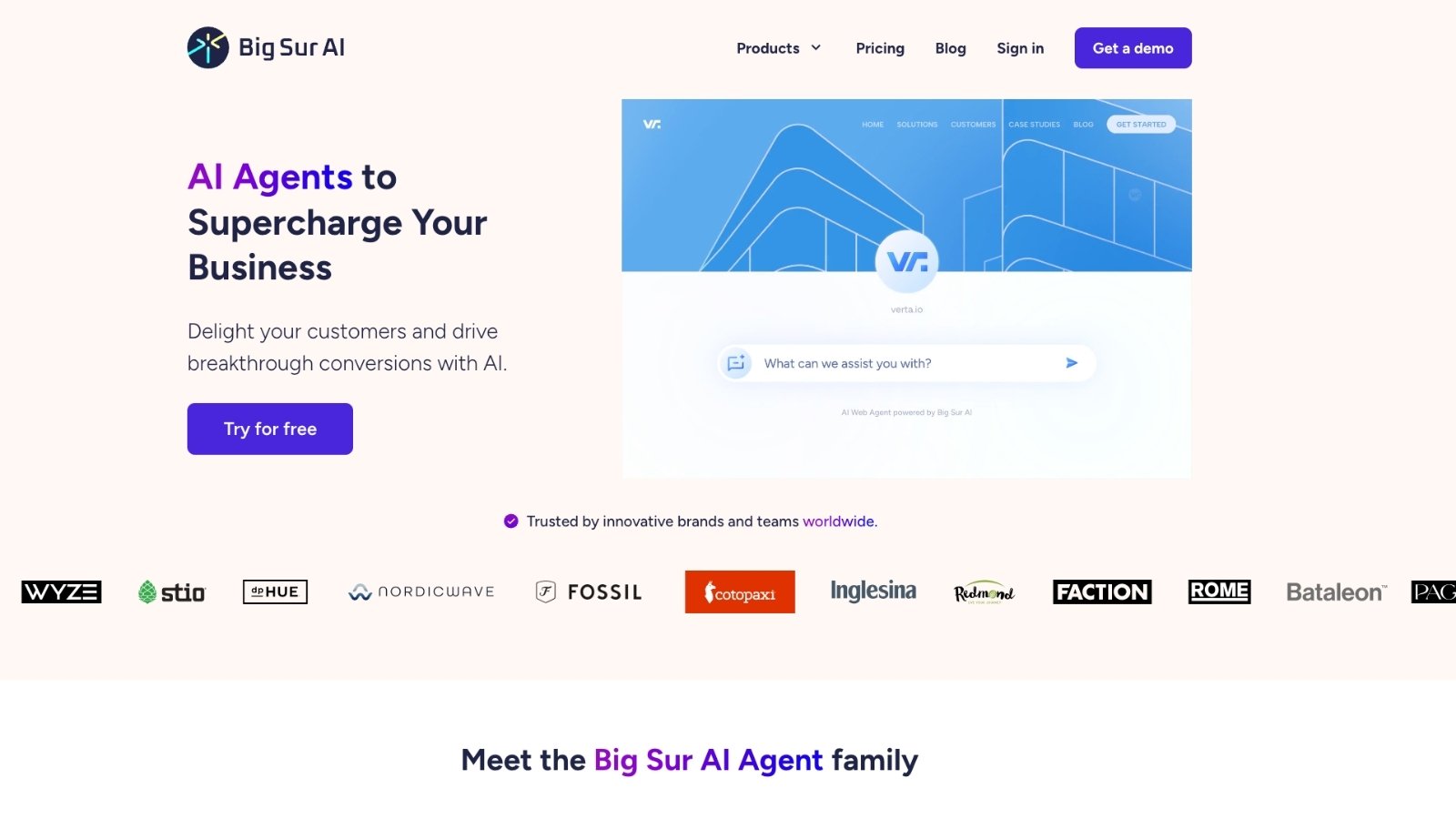 Big Sur AI homepage