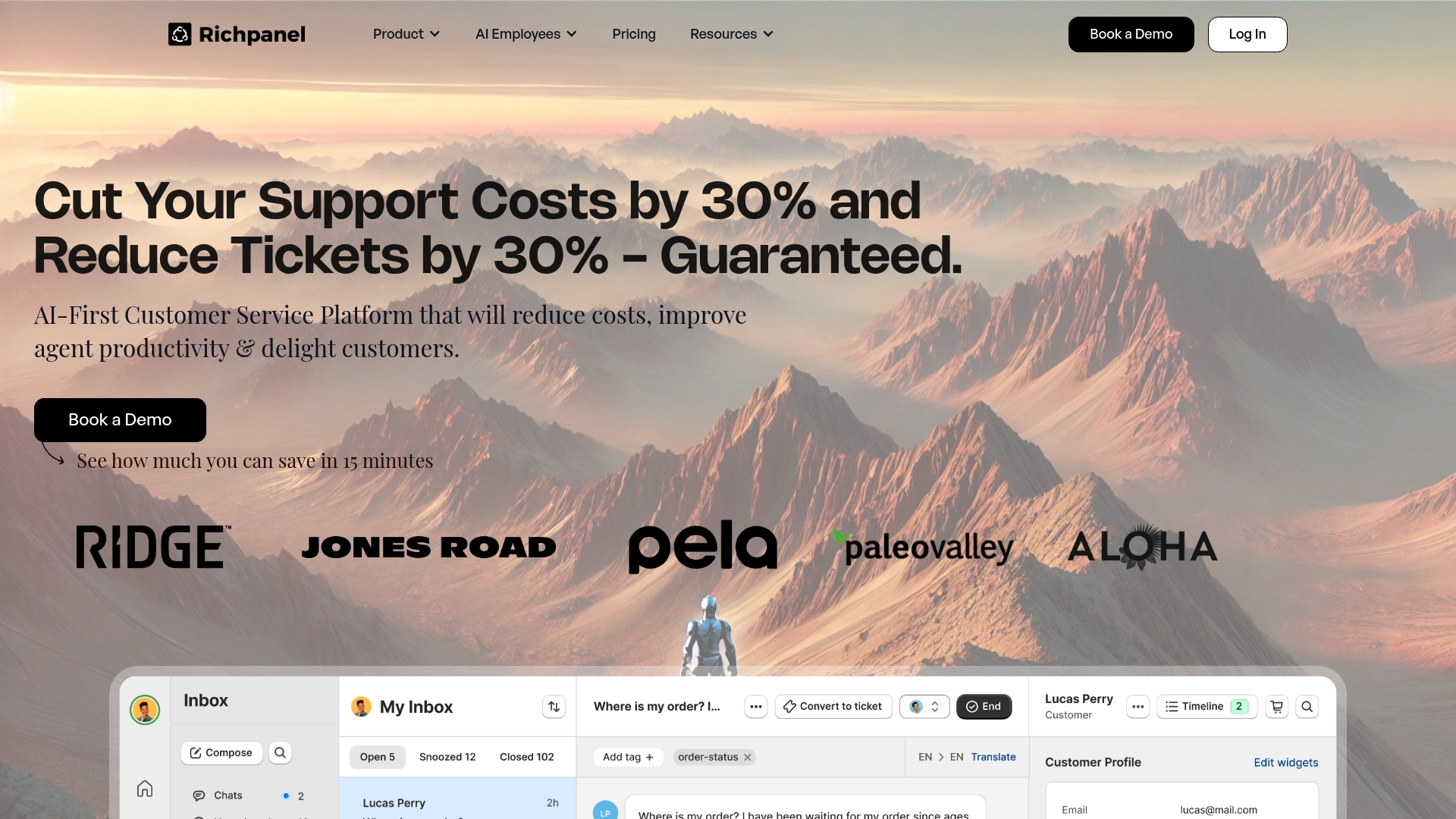 A screenshot of the Richpanel landing page, showing what is the best Shopify calling integration for self-service helpdesks.