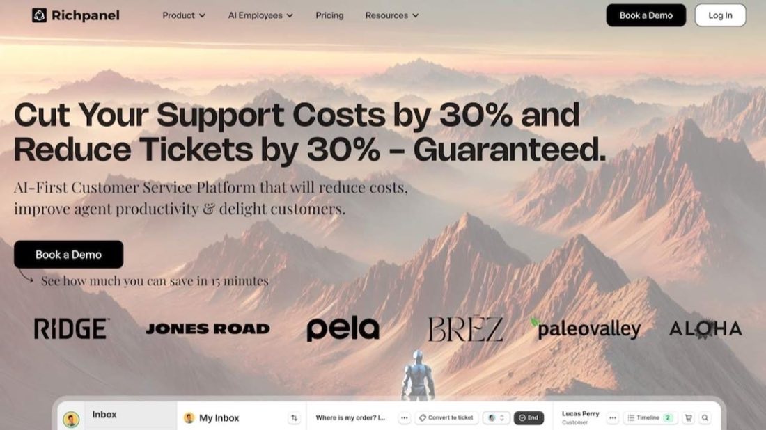 A screenshot of the Richpanel homepage, an ecommerce omnichannel support software