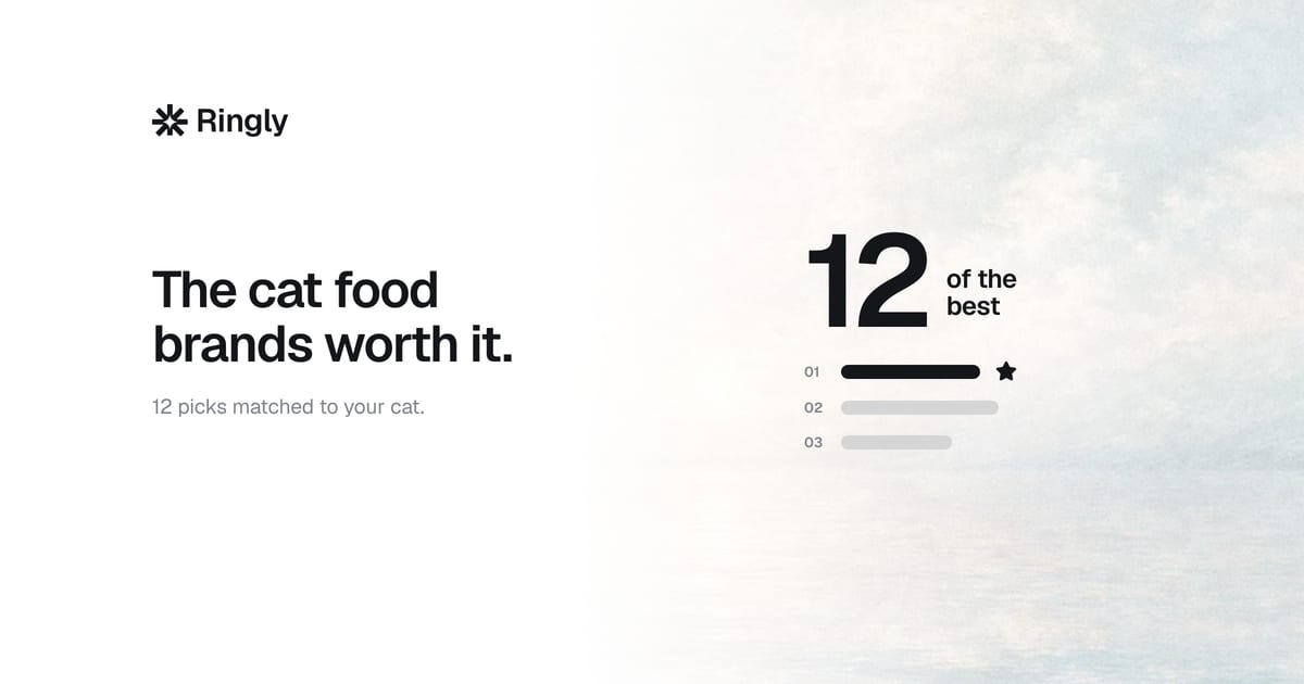 best-cat-food-brands