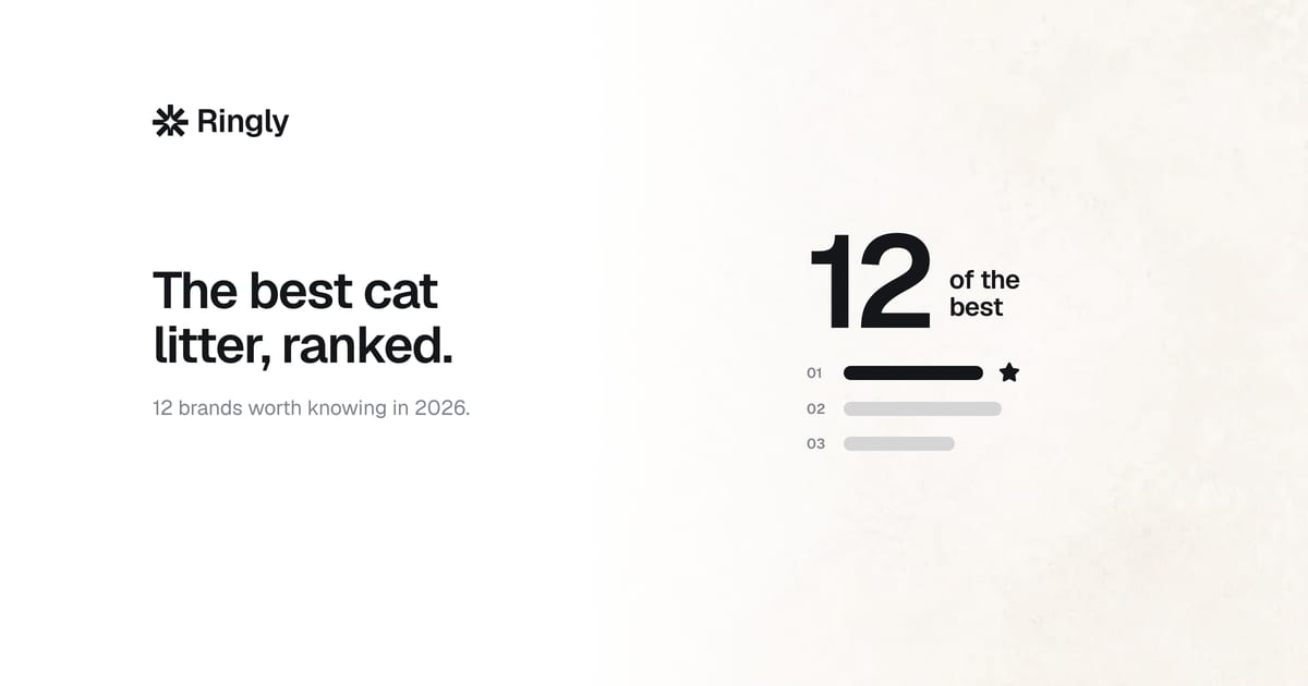 best-cat-litter-brands