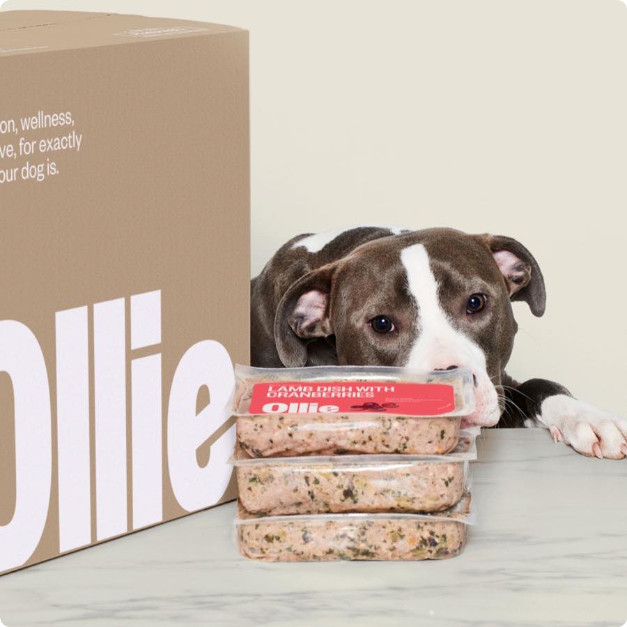Ollie product