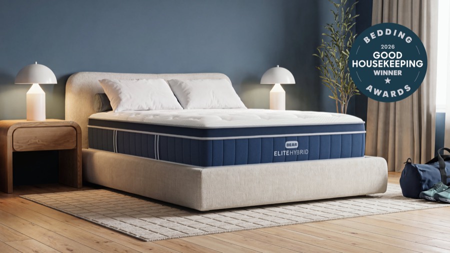 Bear Mattress product