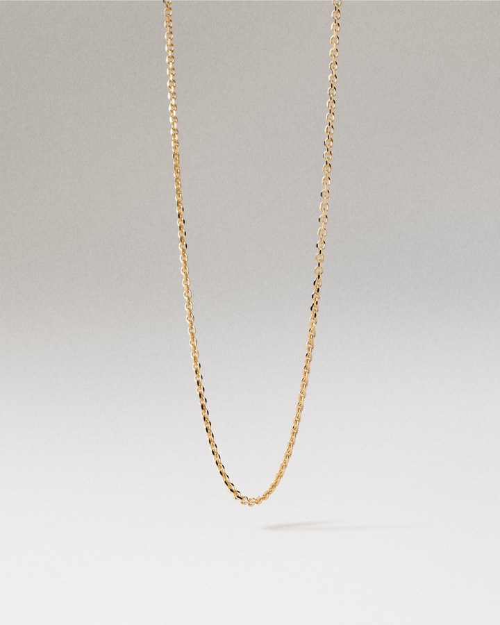 PDPAOLA product