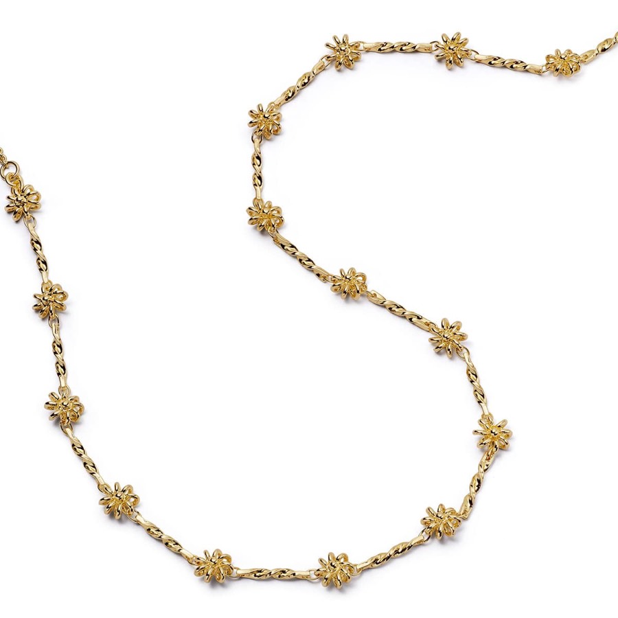 Daisy London product