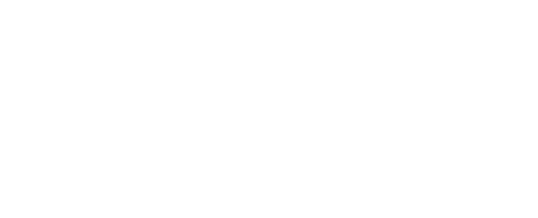 Bassin d'Arcachon logo