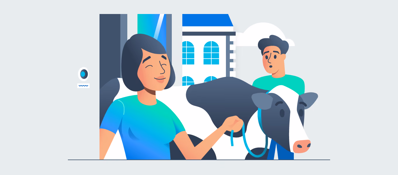 woman walking a cow