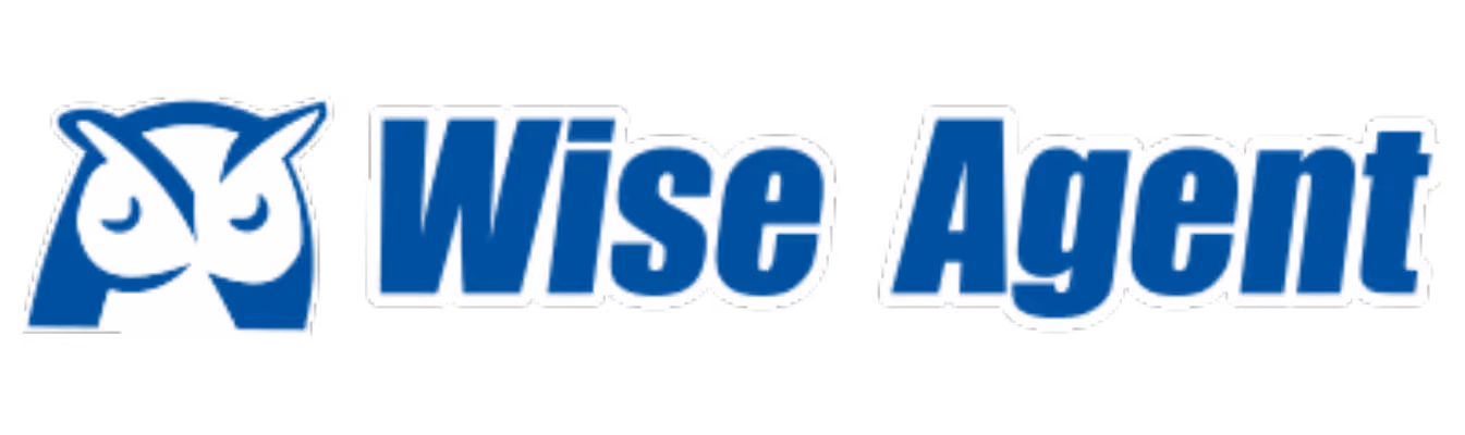 Wise Agent logo with a stylized blue owl face on the left of the text.