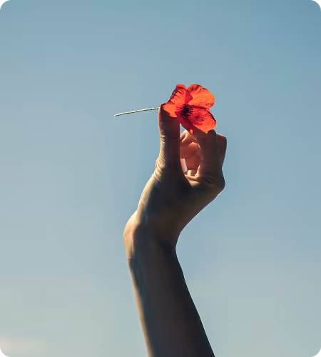 A hand holding a flower, symbolizing a transformatory state