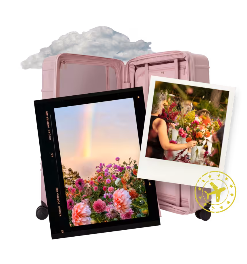 We Belong Among the Wildflowers 🌸