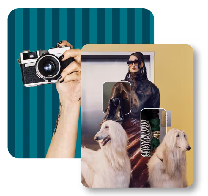 Side Dish, the Shampoo Sandwich Edition