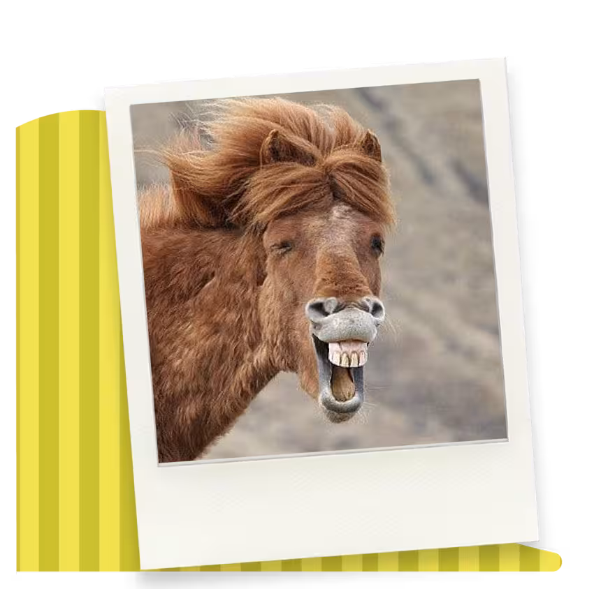 Side Dish, the Go Sports! Edition