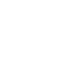 A black and white dollar sign.