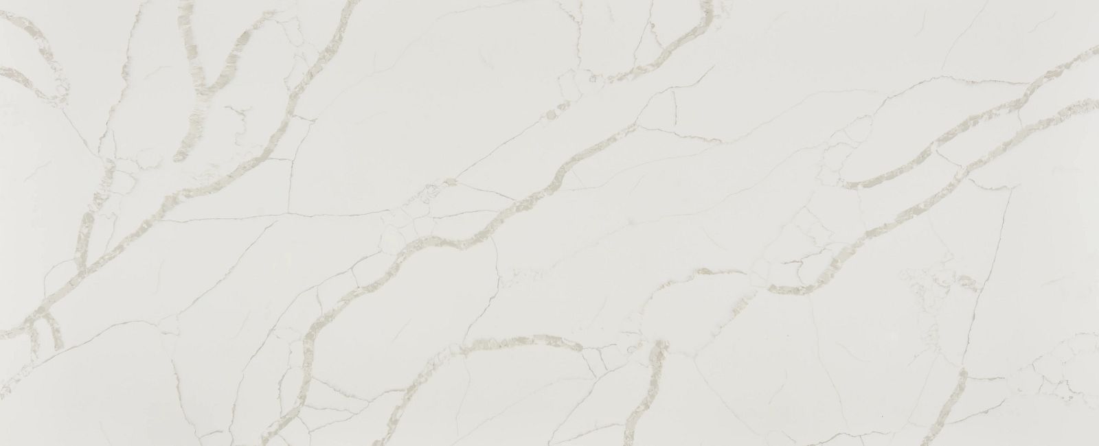 Della Terra® Calacatta Maywood