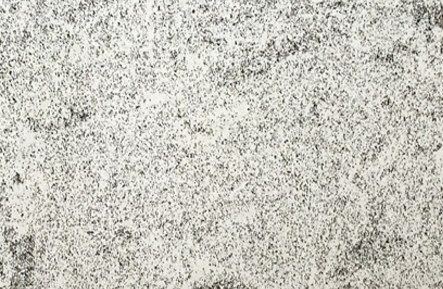 Cotton Motion
