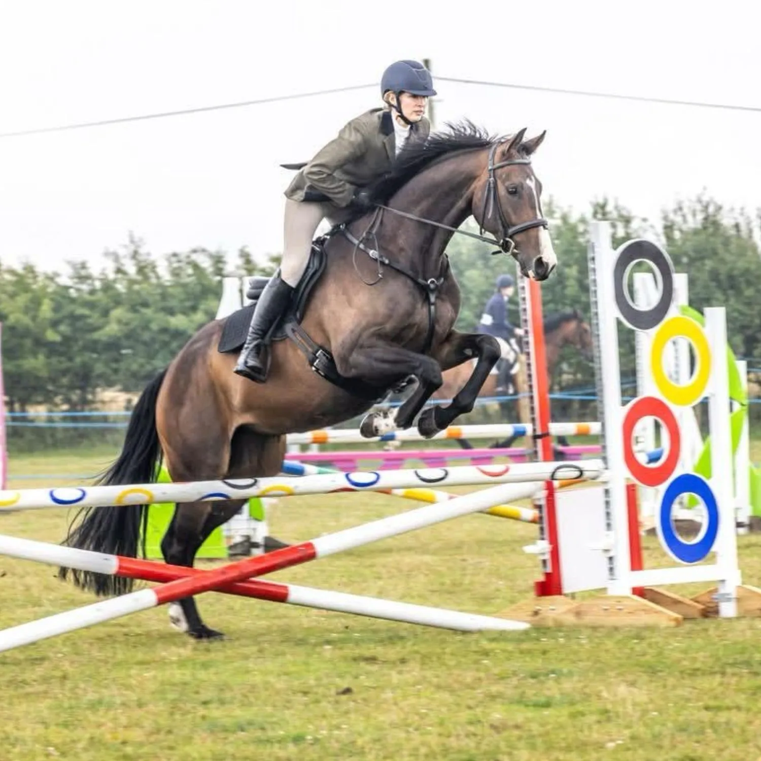Equestrian rider in helmet and jacket jumping a brown horse over a colorful obstacle in an outdoor show jumping event.