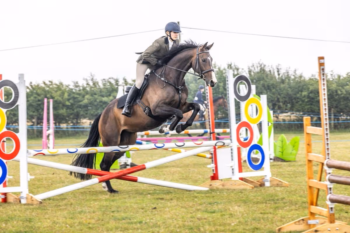 Equestrian rider on a brown horse jumping over a colorful obstacle during an outdoor show jumping event.