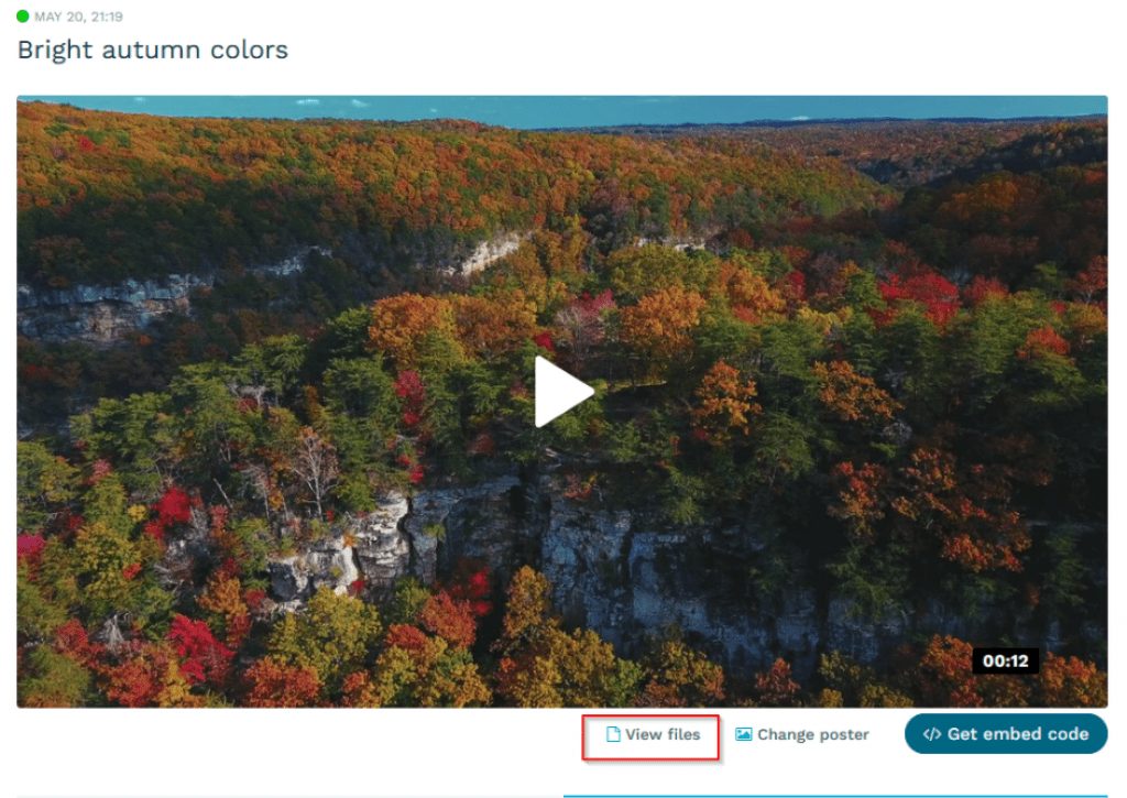 A video of a forest on Flowplayer with the button "View Files" highlighted