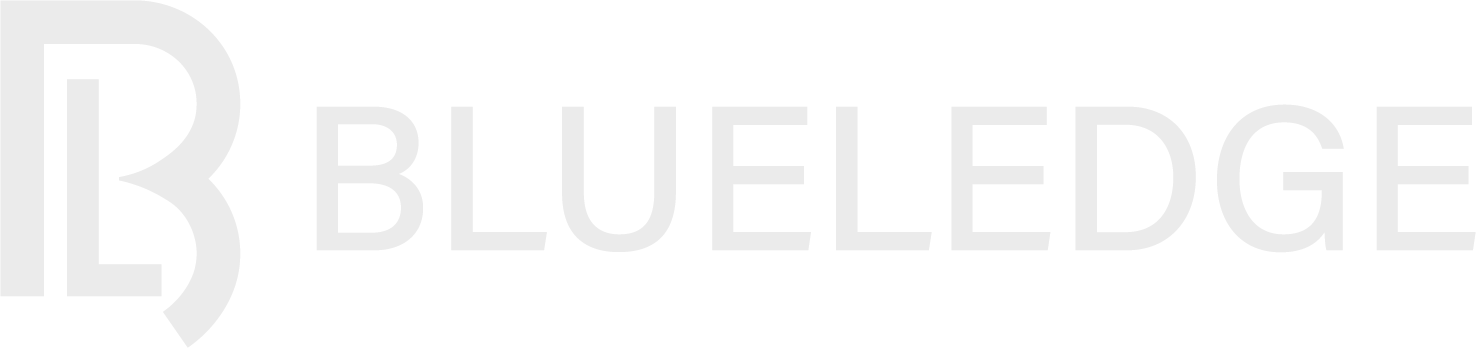 BlueLedge Business logo showing blue layered ledge icon and company name