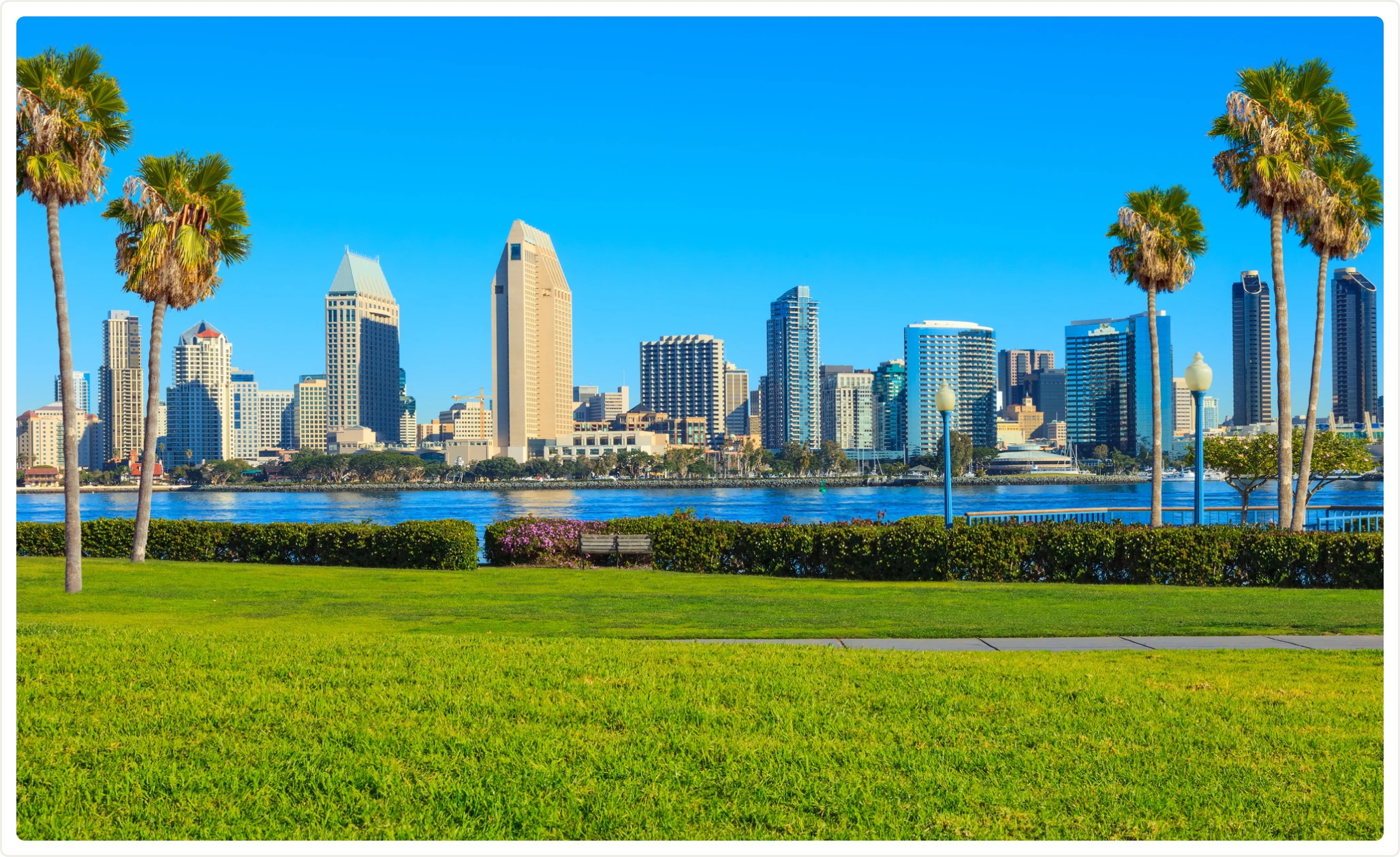 San Diego skyline with green park, palm trees, and blue waterfront under clear sky.