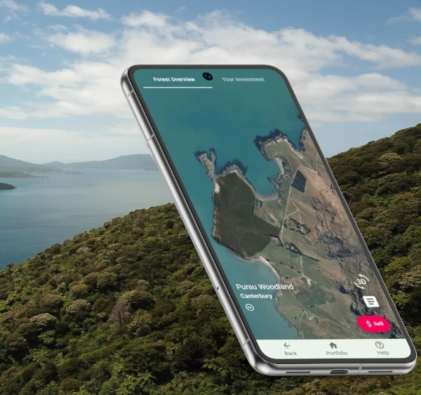 Image of app on forest background