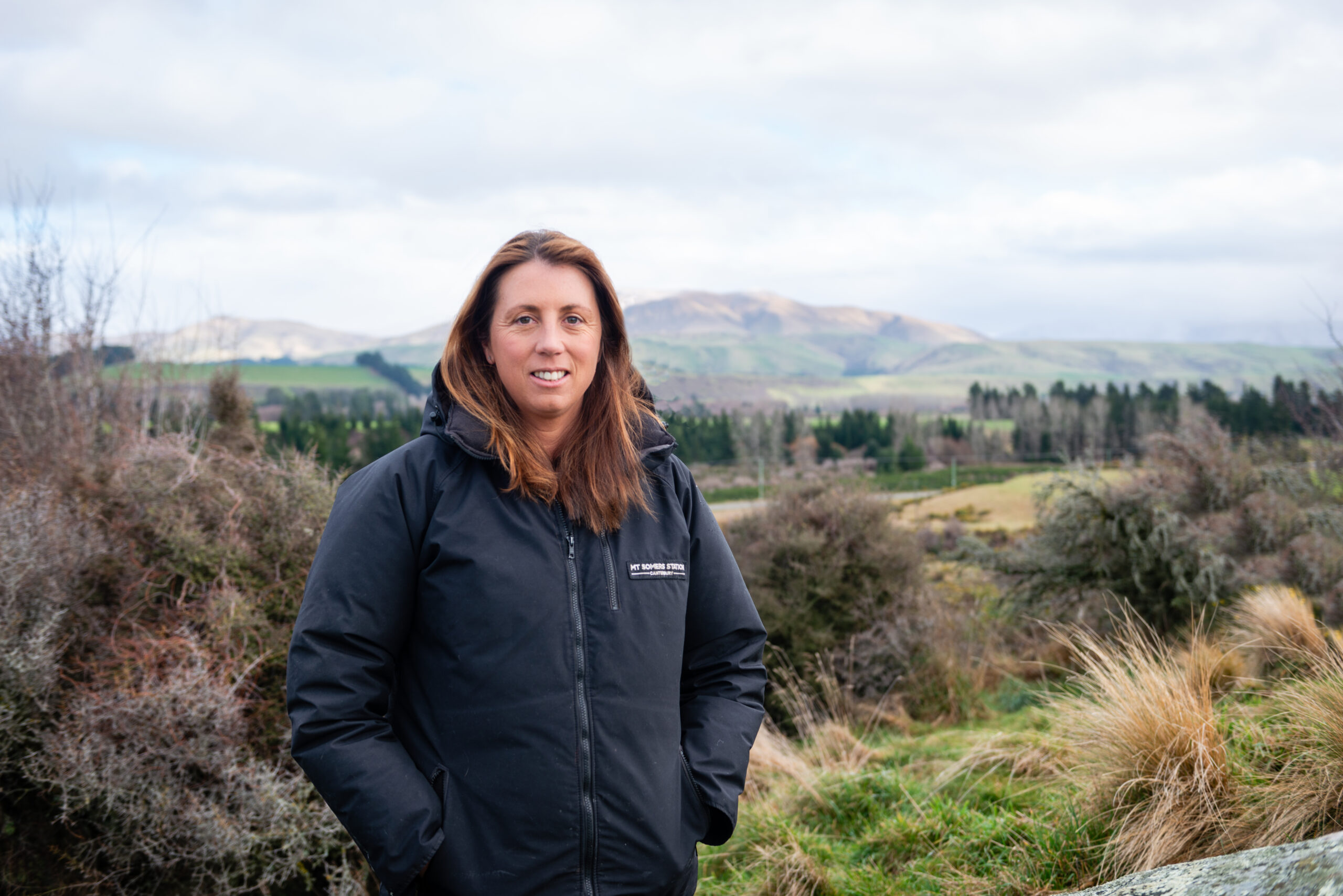 New laws won’t halt forestry march: BLNZ