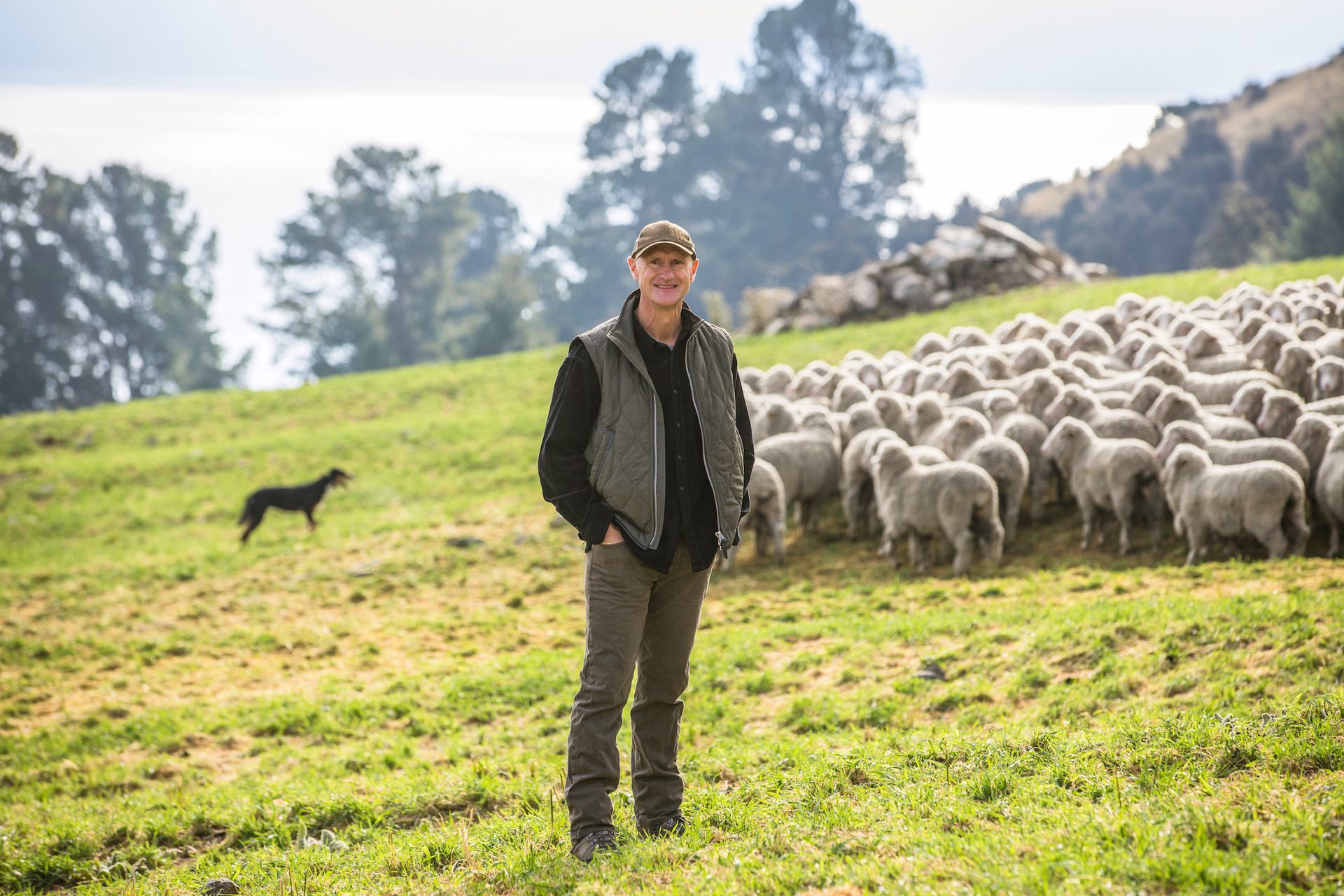 Plea for government to help farmers earn global carbon benefits 