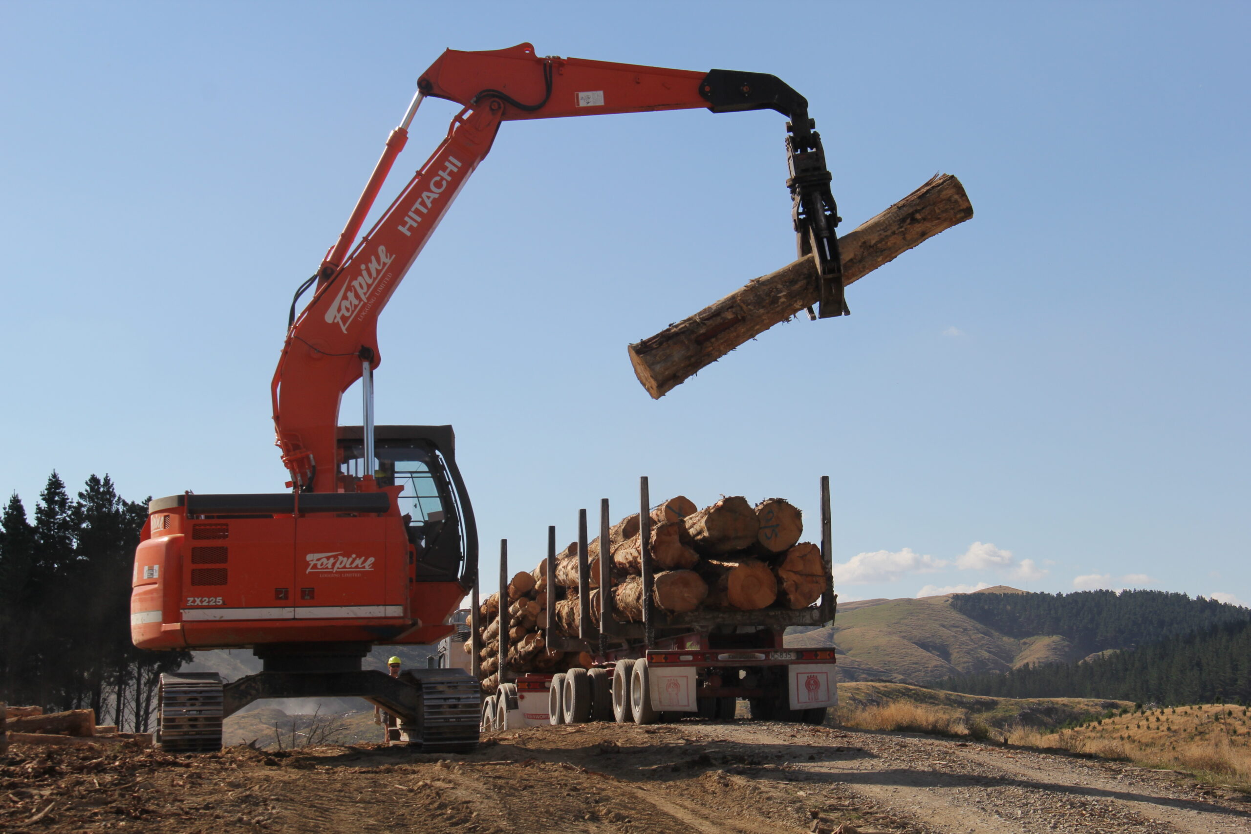 Does forestry act like friend or foe?