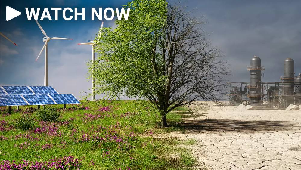 ETS needs fixing to help cut greenhouse gas emissions