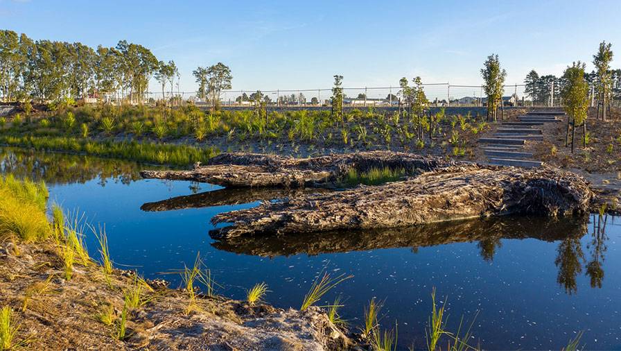 Govt pushes more private investment in nature and carbon markets