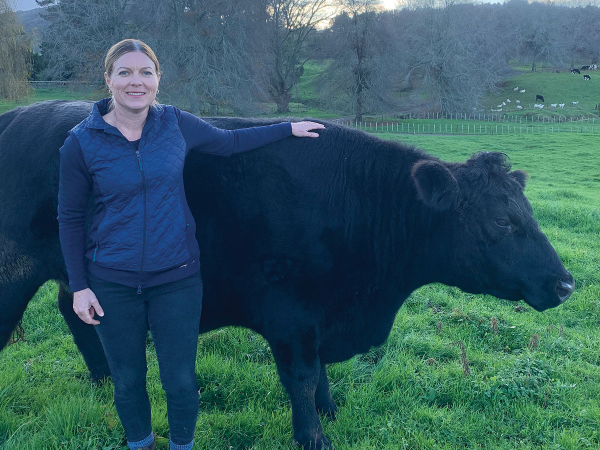 Rural Lobby Groups Seek Clear Election Positions On Farming And Emissions